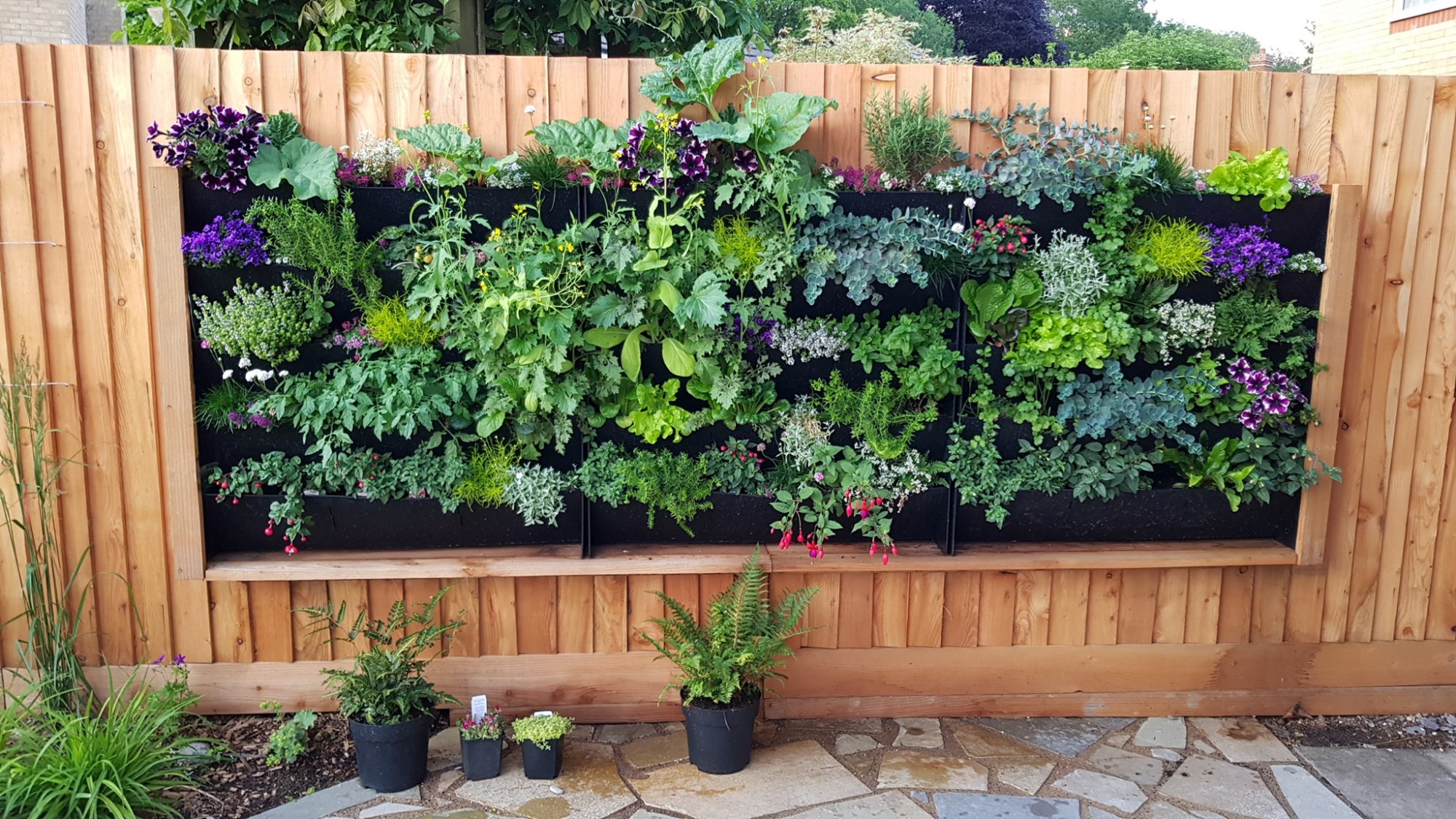 Vertikální zahrada PlantBox na terase s okrasnými rostlinami a bylinkami